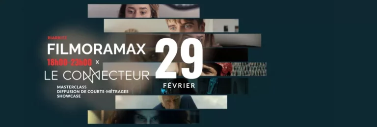filmoramax le connecteur